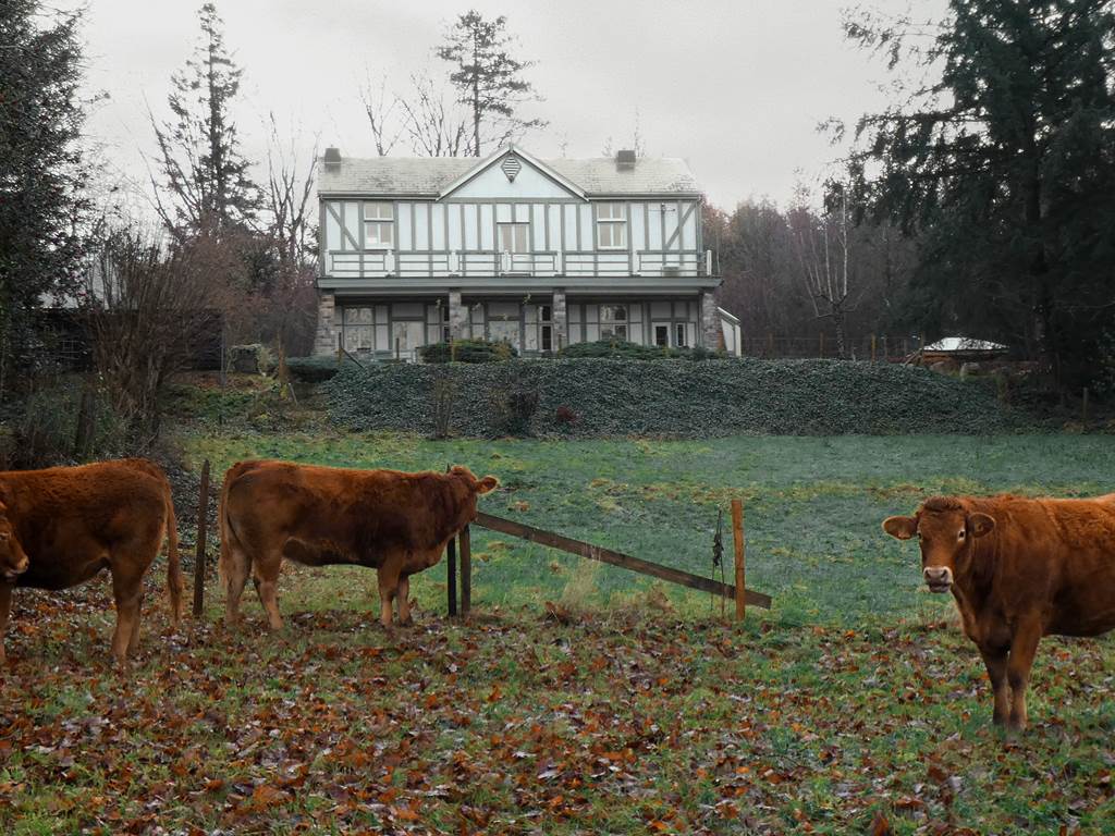 P1050095 - Copie copier