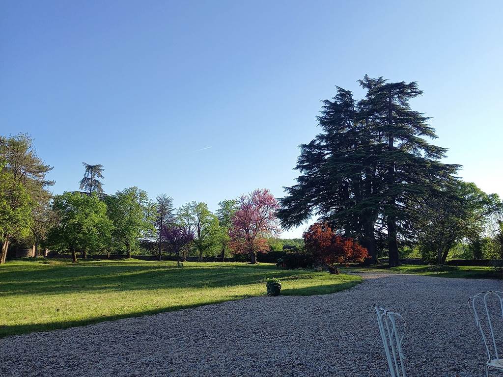 Le parc les Cèdres du Liban
