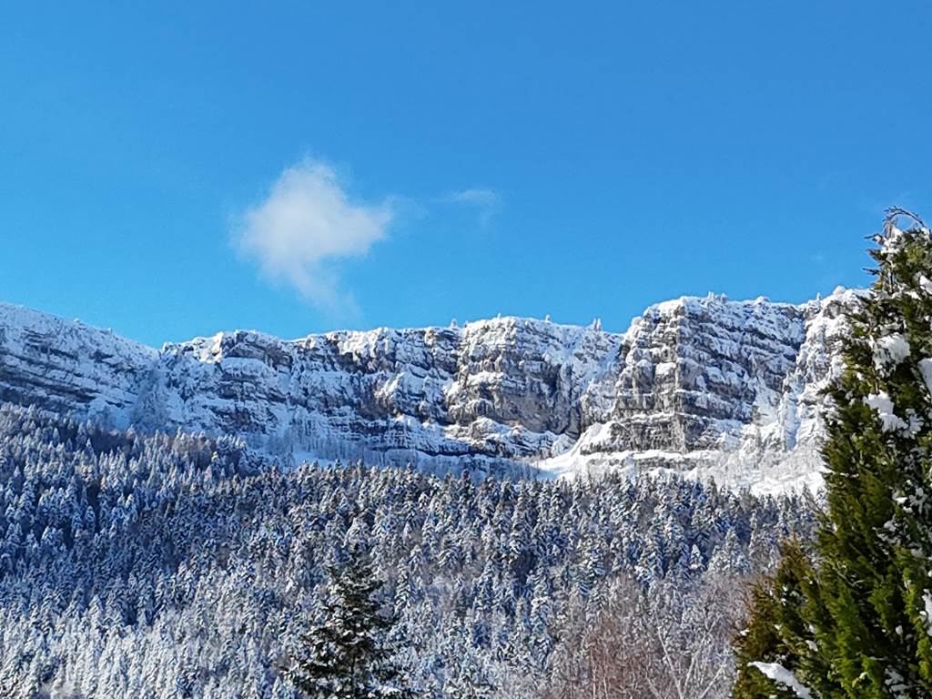 DJI_20241224123055_0240_D