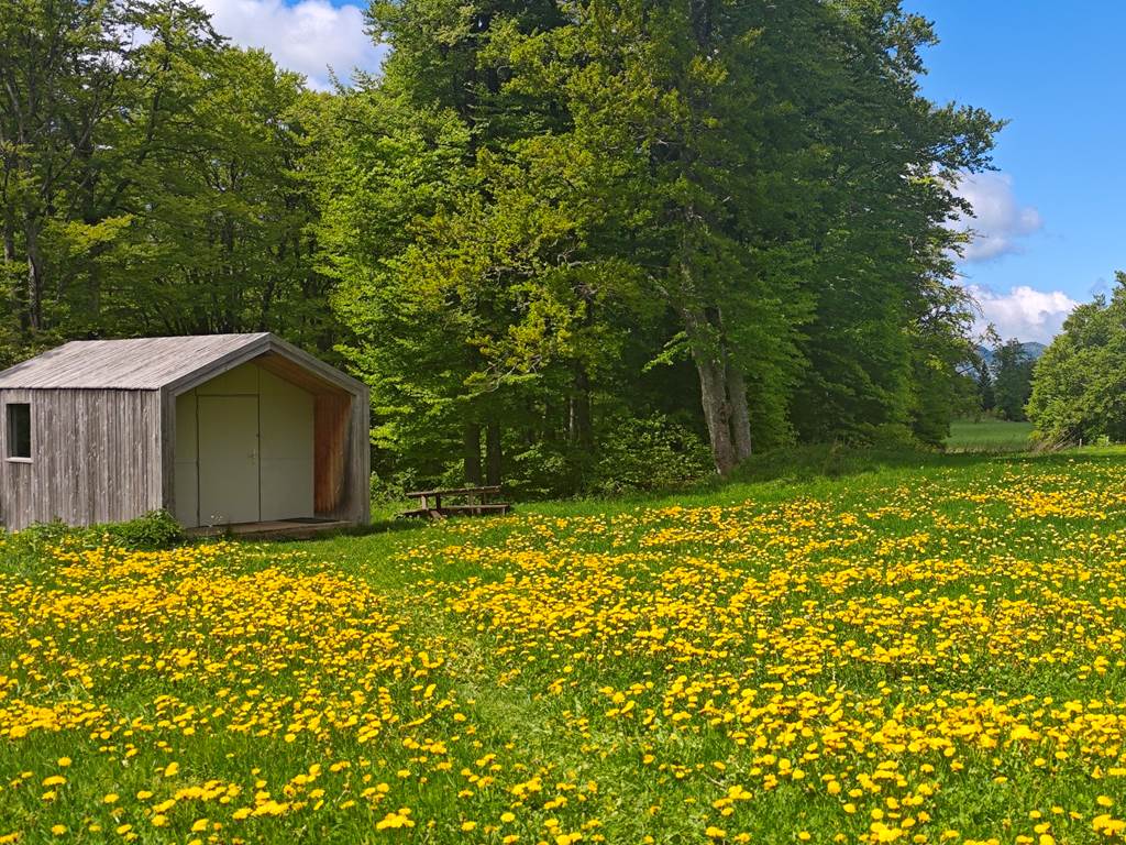 Chalet Yukon