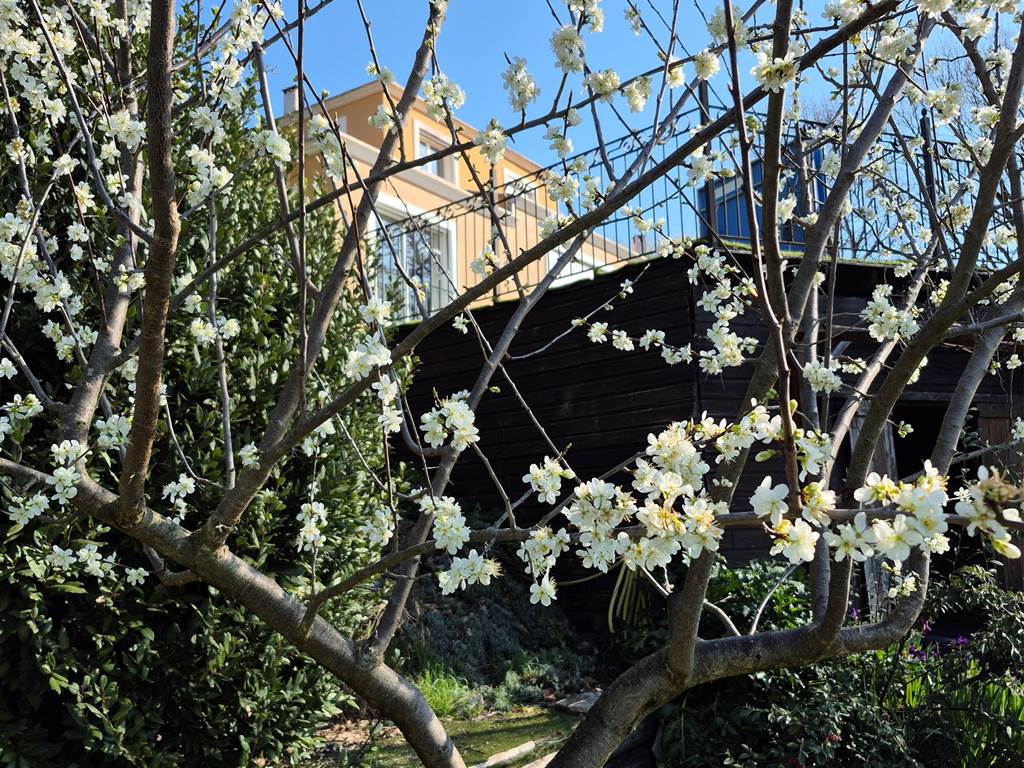 Le printemps est là !