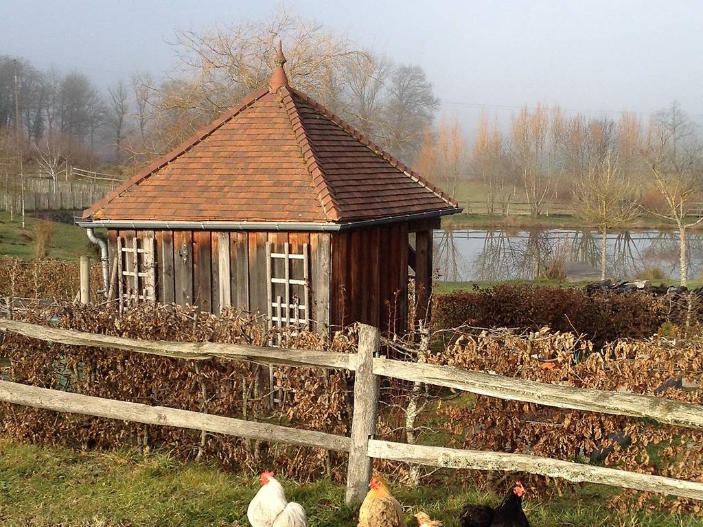 les poules du Domaine...