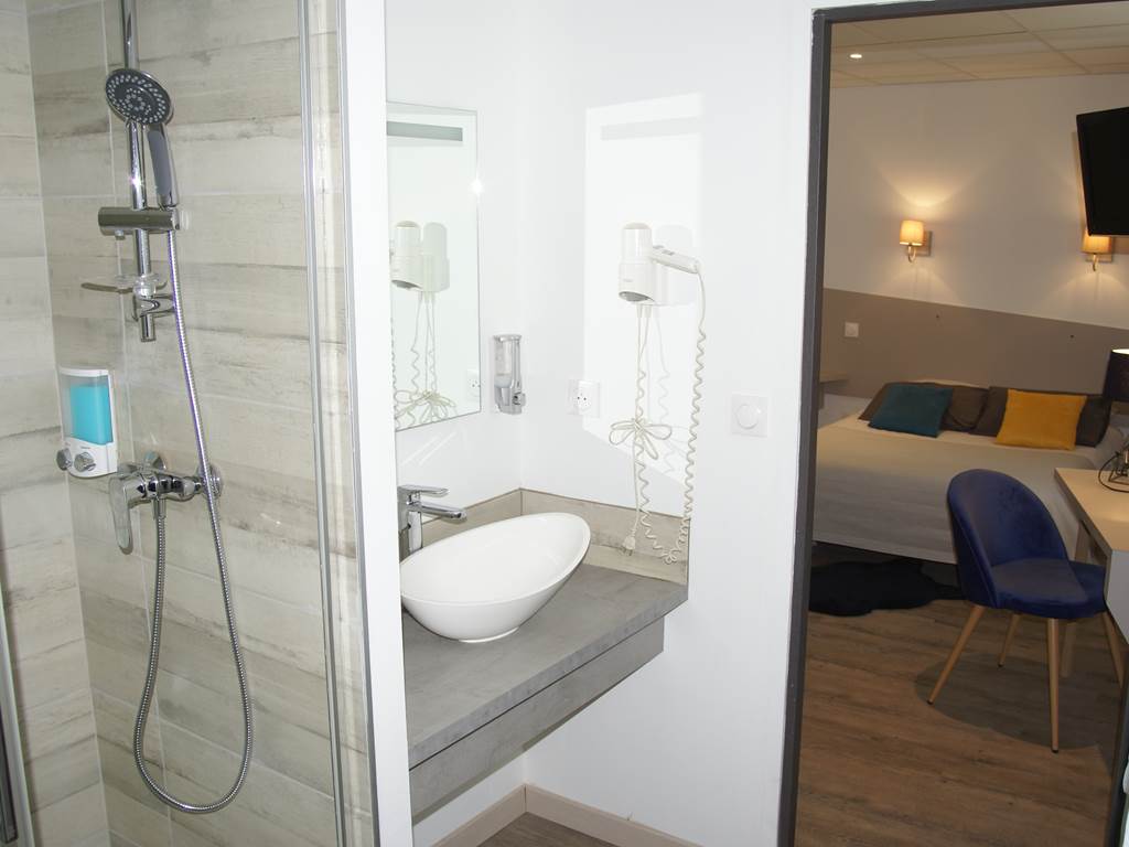 Hotel Alphée -  chambre double salle de douche 002