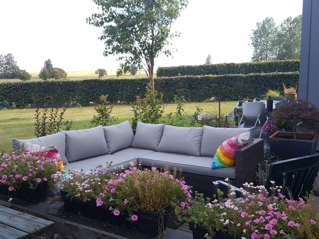 la terrasse
