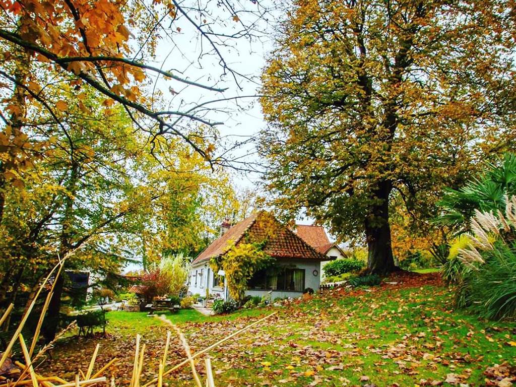 FB_IMG_1578999059391