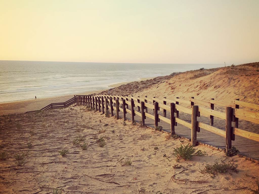 la plage (surveillée) de Messanges à 5mts