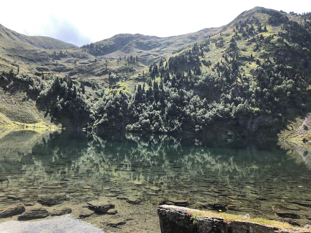 D5CF8F80-77D3-45D4-9A73-056C47B851B8