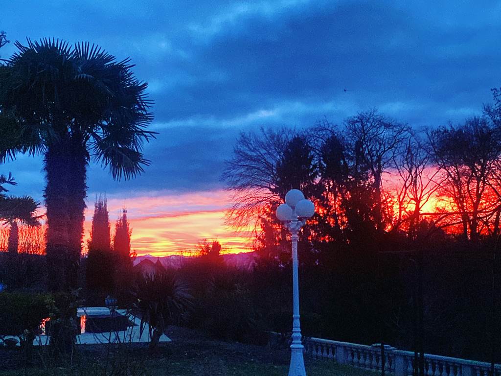 B9F0125E-3716-4A1E-AC1E-5E471324F95B