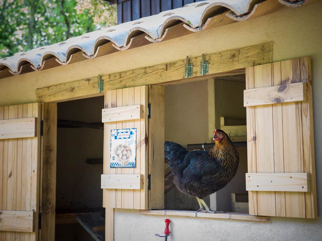 0011_cocody-015 copie