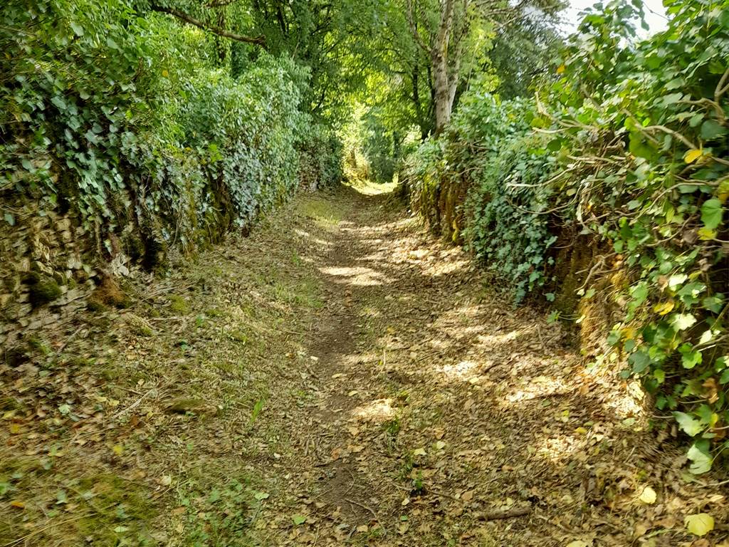Sentier de randonnée