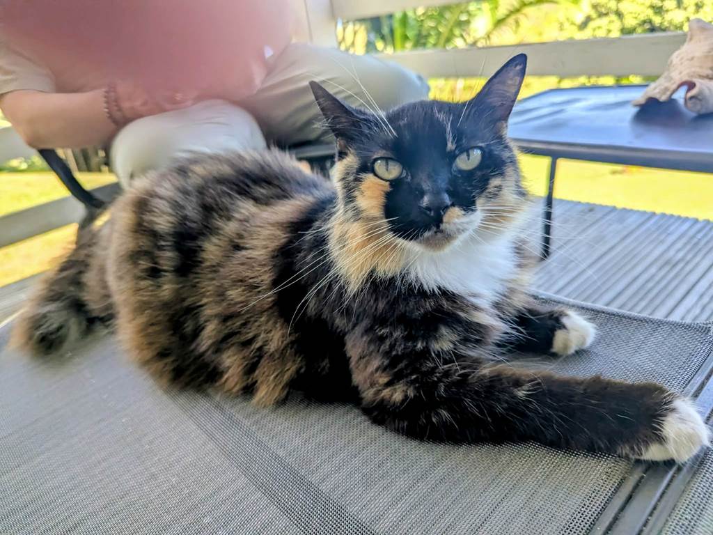 eddd2af4-d3c5-4c6e-923d-d0b29428f020