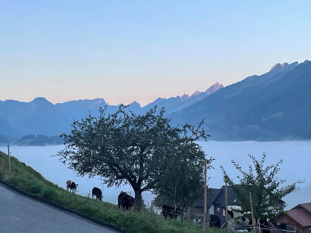 vue-panoramique-gruyere-montagnes-vanils-intyamon-studio-vacances-couple-suisse