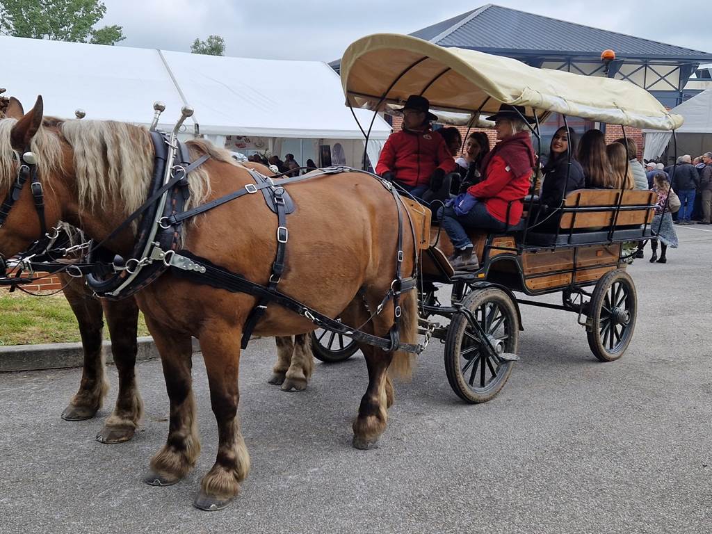 Promenade en Calèche avec Pénélop et Gess calèche Western