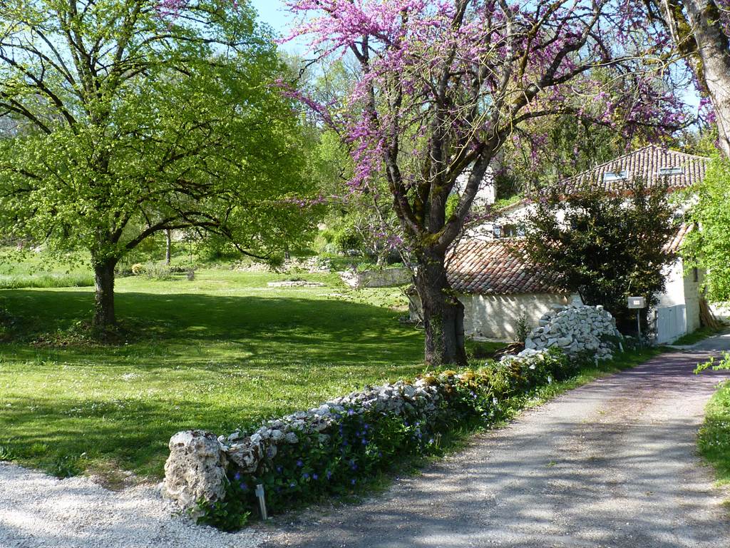 Jardin paisible pour profiter du plein air