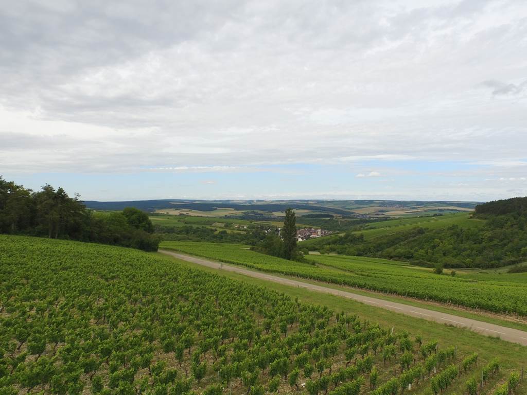 vigne-randonnée-bourgogne