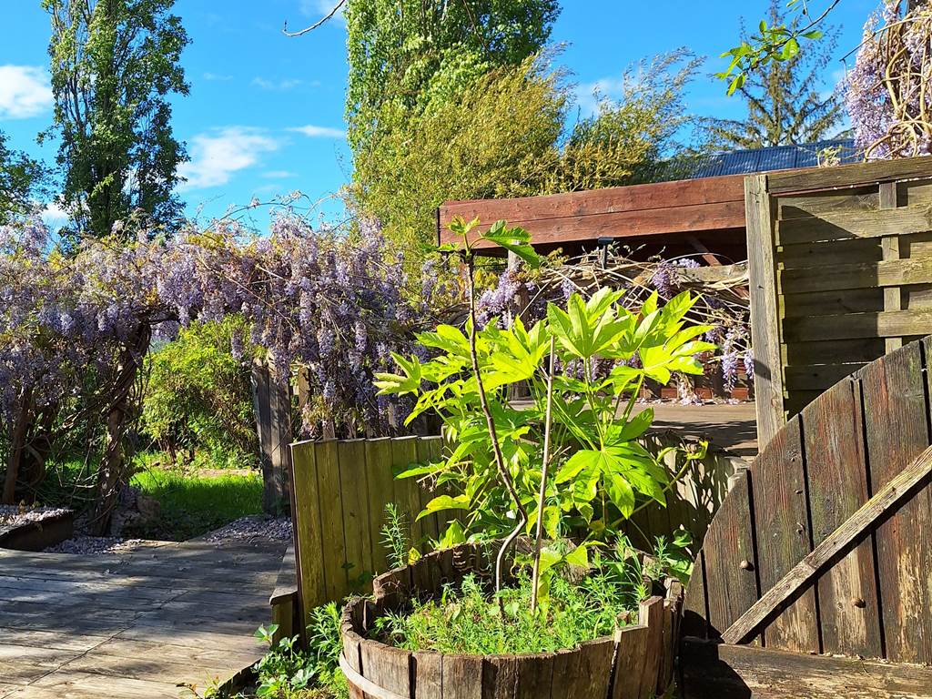 terrasse-bois-jardin-hebergement-nature-Masserac.jpg