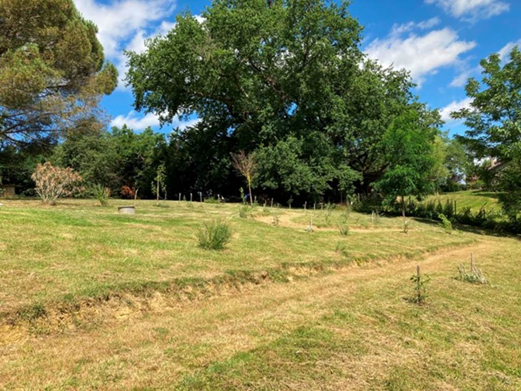 Les allées du jardin