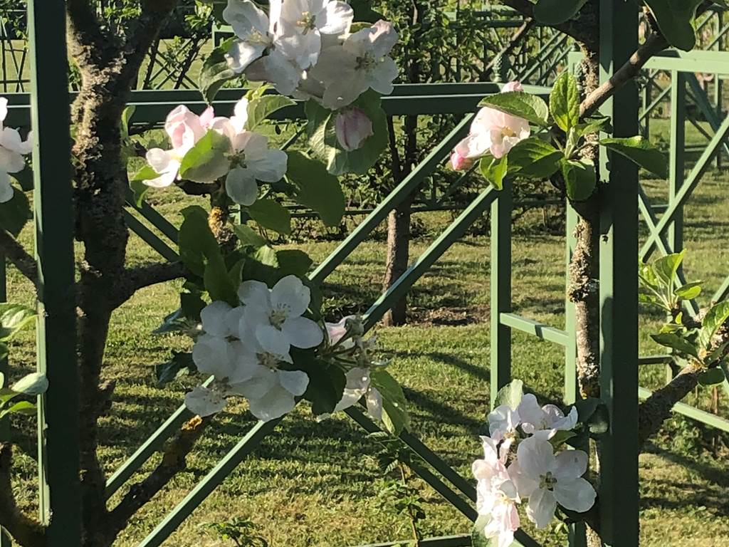 DANS LES VERGERS-POTAGERS