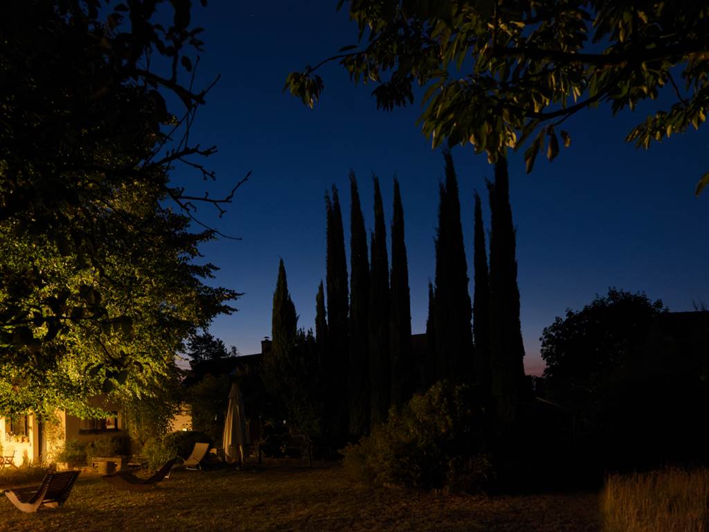 Les cyprès se dressent majestueusement