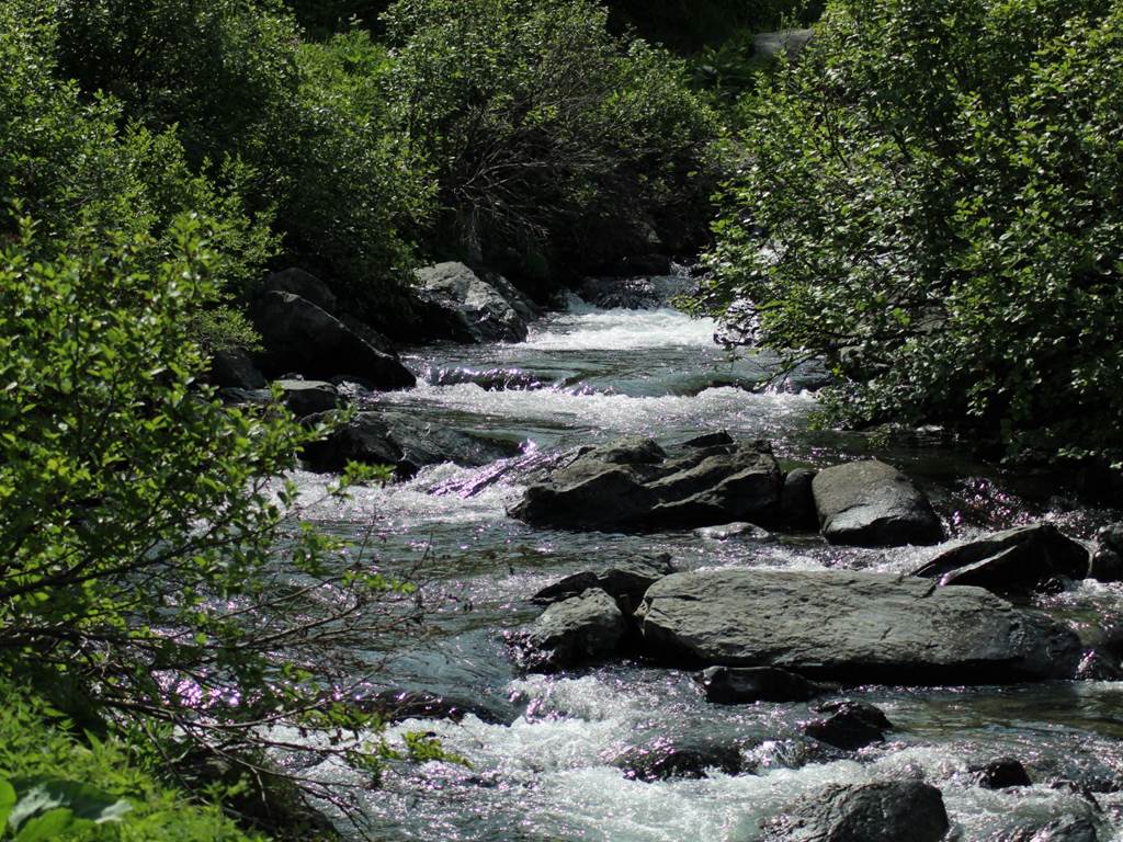 Le long de la Névache