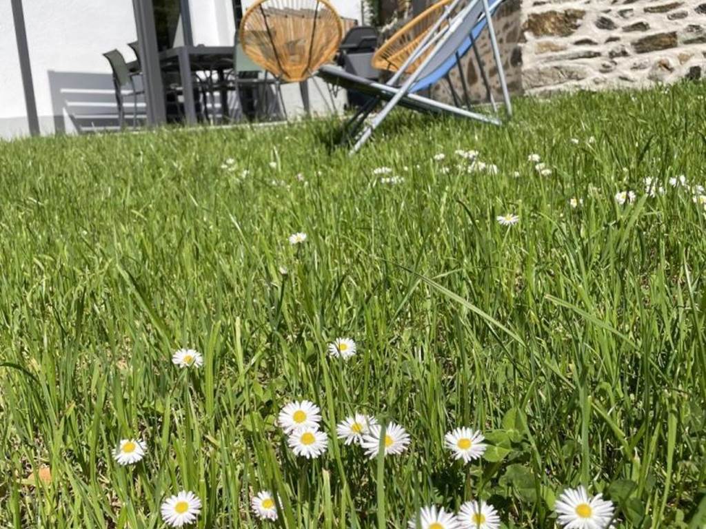 Gîte n°19G3131 "La Maroussie" – SALON LA TOUR