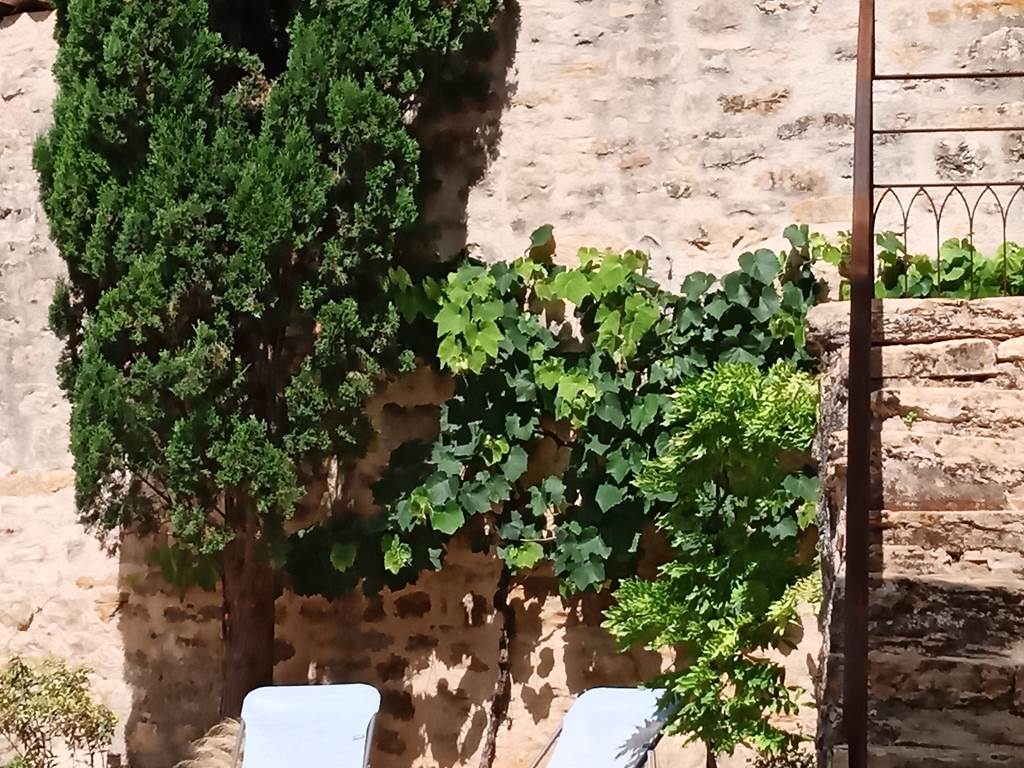 Les Granges de l'Abbaye. Solarium