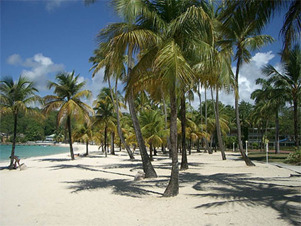 Les jardins des Balisiers Plage de la Caravelle sainte anne