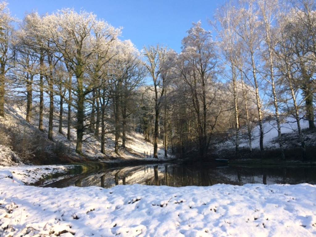 Paysage hivernal magnifique