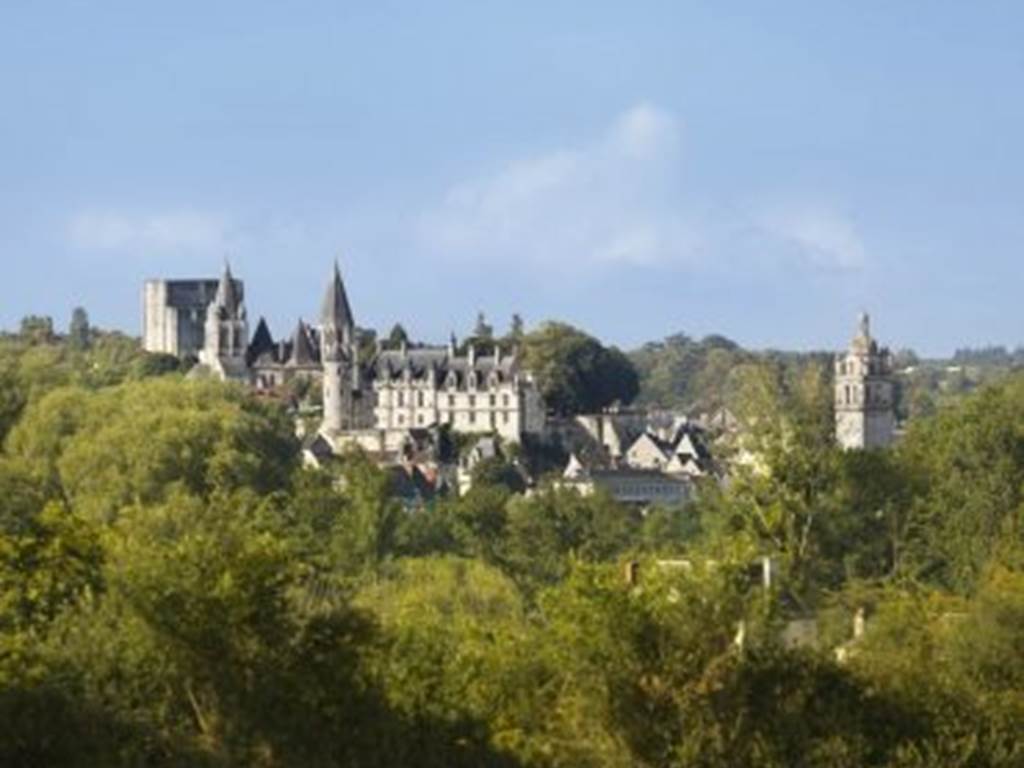 Loches forteresse royale à 4 km