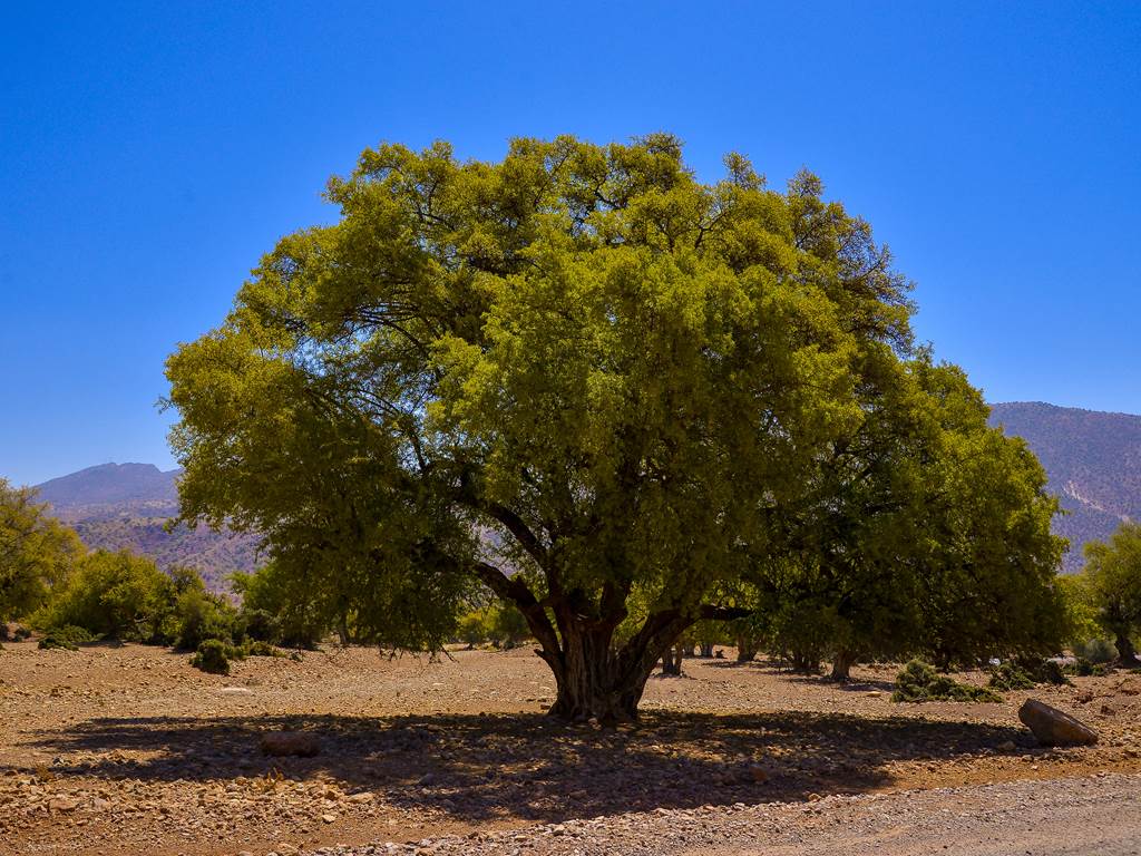 grotte wintimedouine (13)