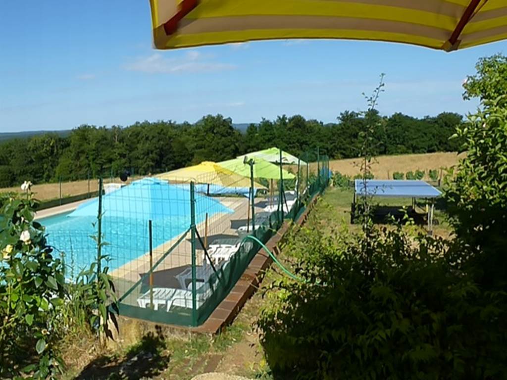 La piscine et son écrin de nature vus de la terrasse ombragée.