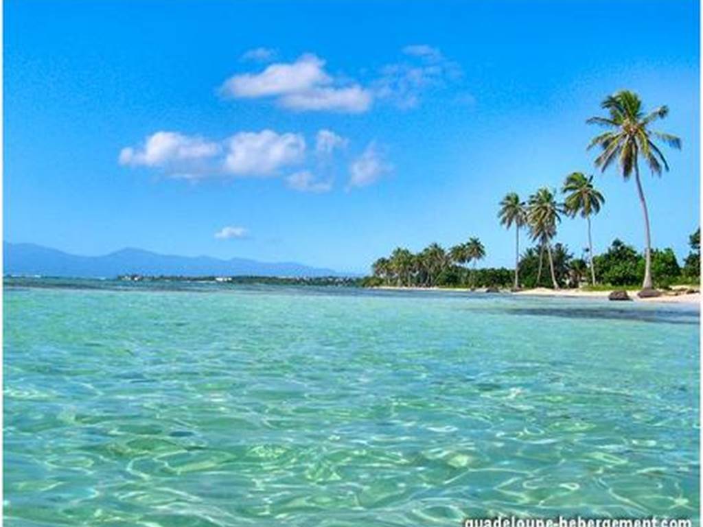 Les jardins des Balisiers Plage du bourg sainte anne
