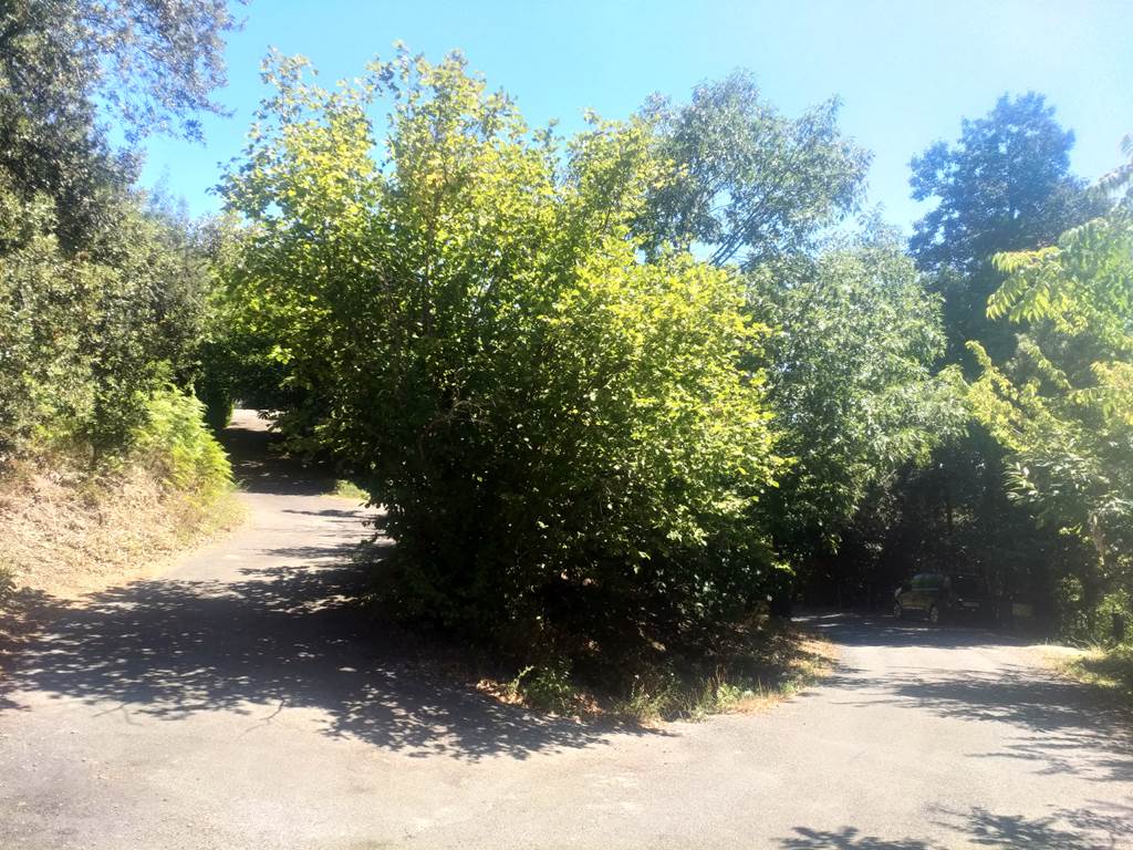 Depuis St Jean à Droite, Les Jardins D'Arbousse à Gauche
