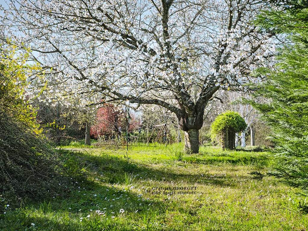 Jardin fleuri et arboré d’un gîte en Touraine, cadre paisible pour un séjour au vert
