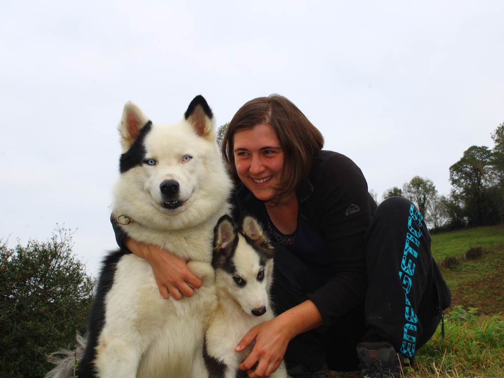 Chiens de traineau Béarn Pyrénées