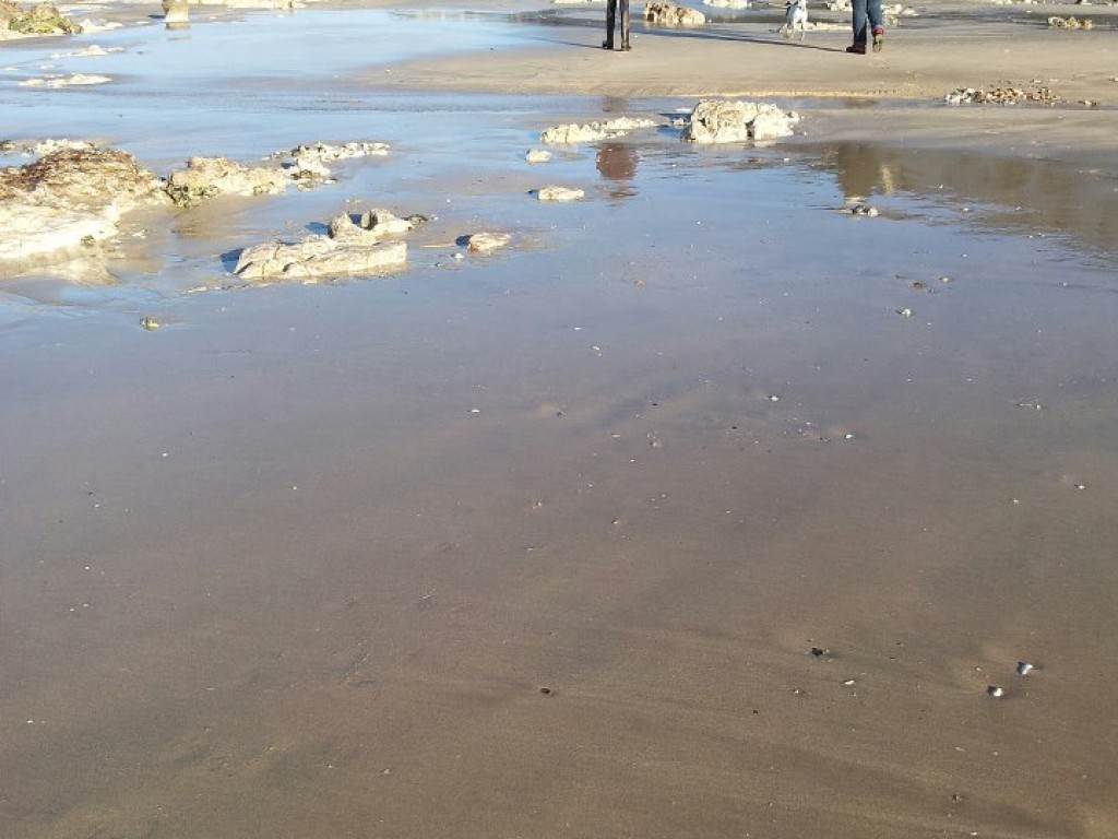 plage de criel sur mer