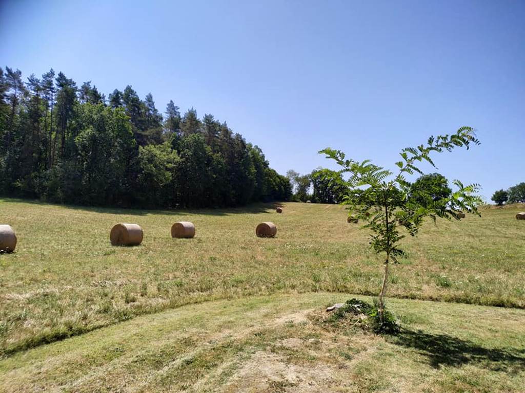 Jardin du gîte nid d' étoiles