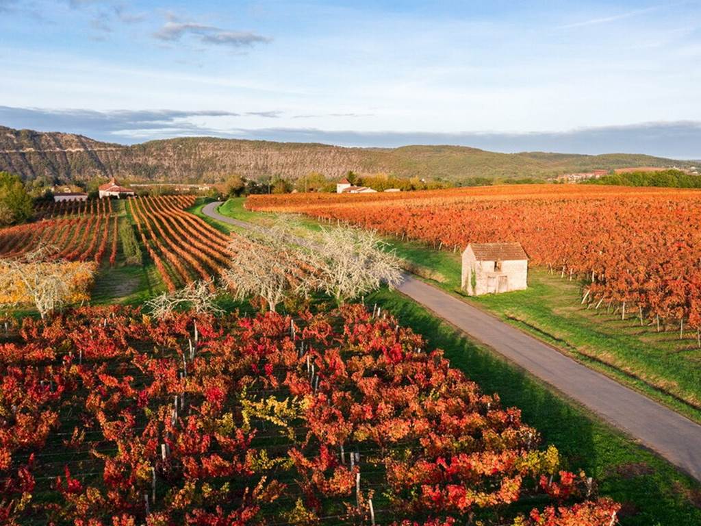 201029165906 Vignoble de Cahors en automne à Parnac © C. Novello - Lot Tourisme_1024x682