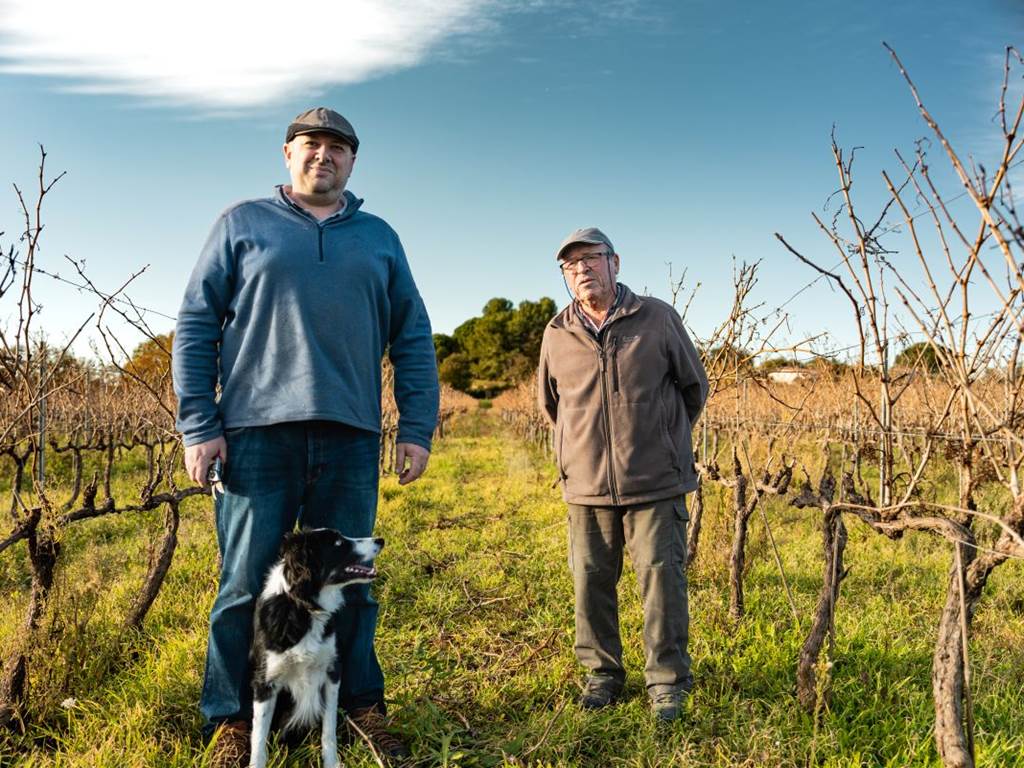 Domaine du blavet taille de la vigne -17
