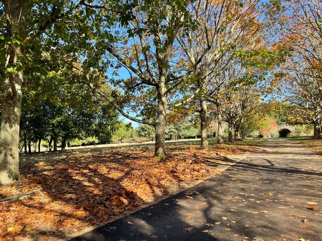 gite-bretagne-sud-golfe-du-morbihan-grand-parc-couleurs-automne