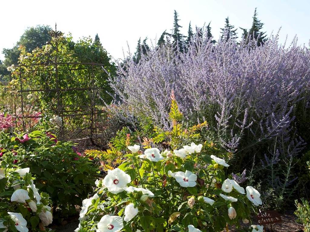 gloriette  au mas des figues