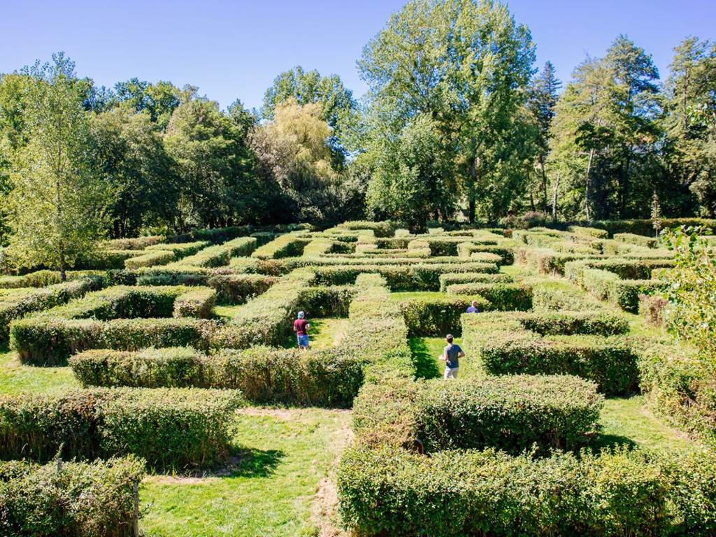 labyrinthe végétal