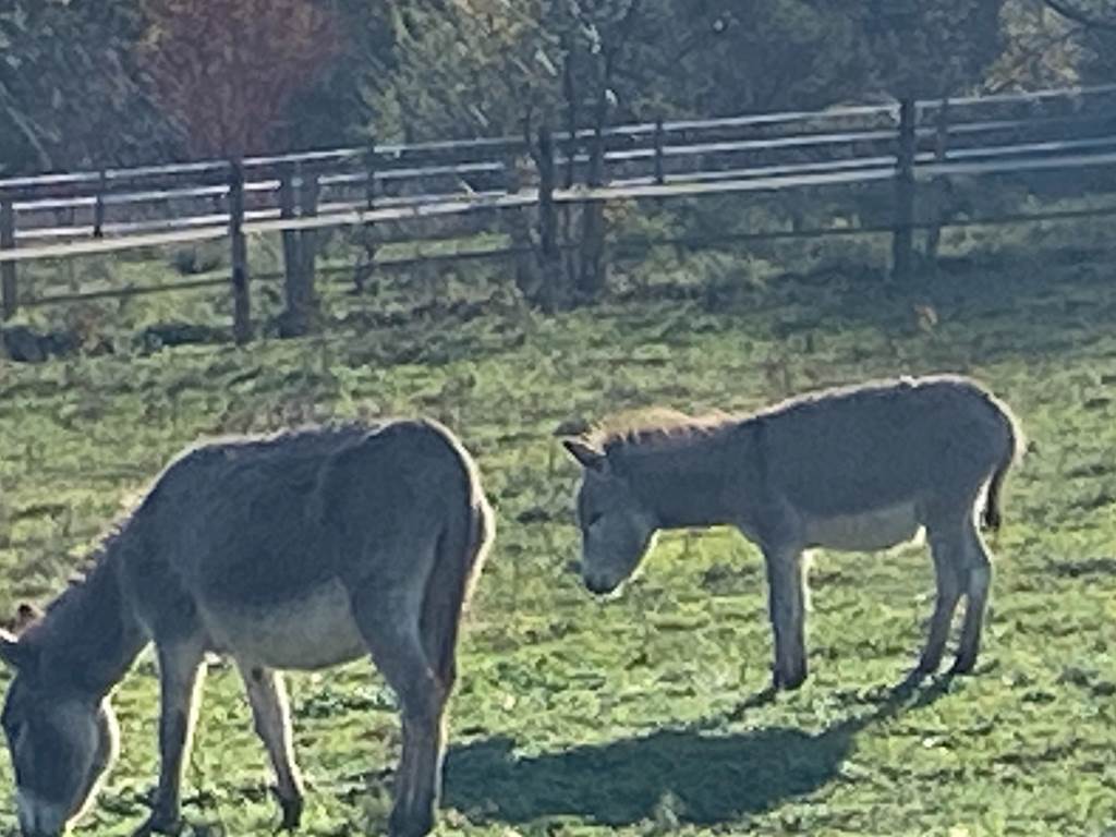vue-exterieure-nature-gite-calme-charly-region-lyon