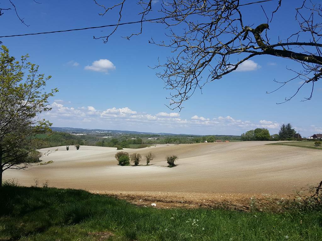Jardin du bassin à l'arrière de la propriété