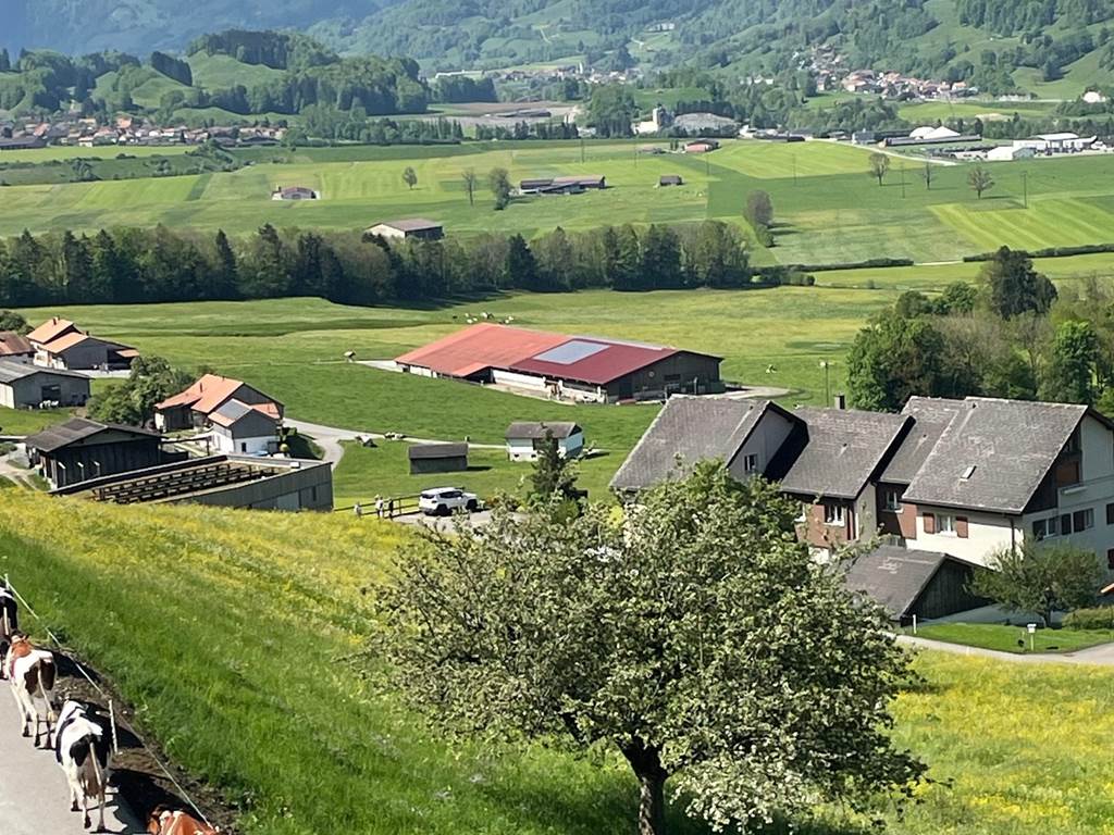 Vue sur la Poya depuis la maison