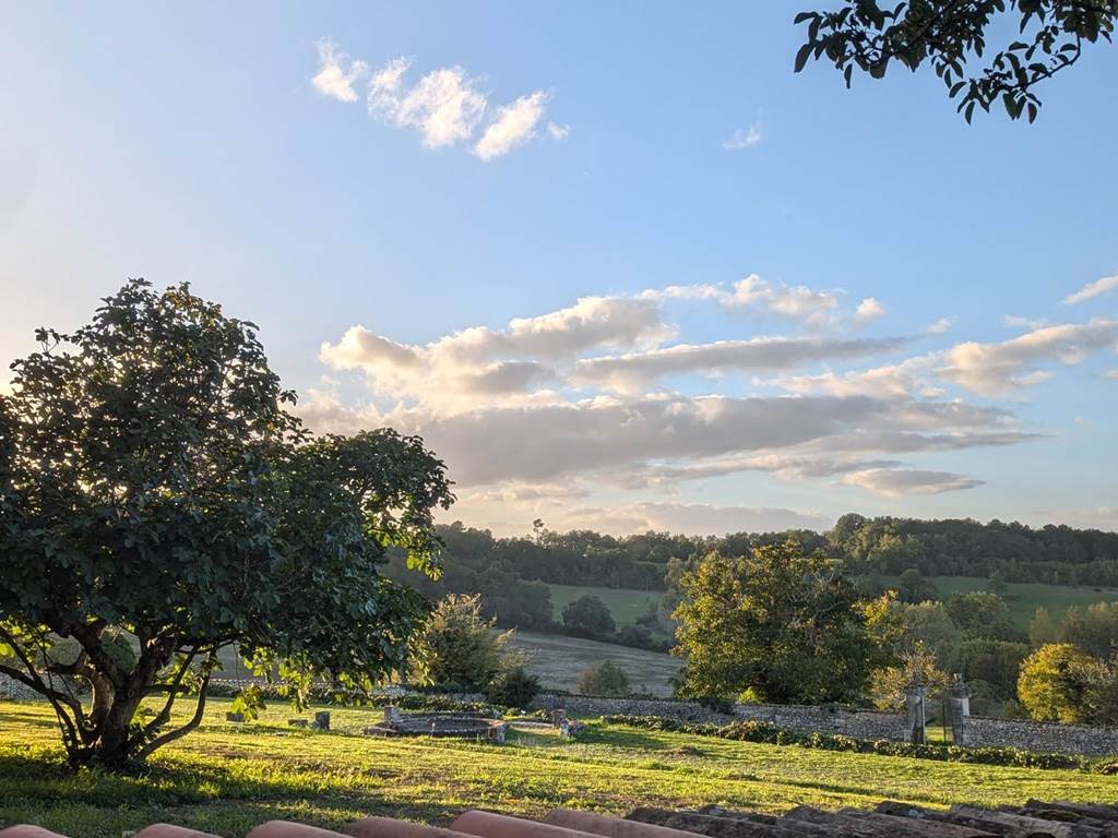 Vue sur le jardin du bassin