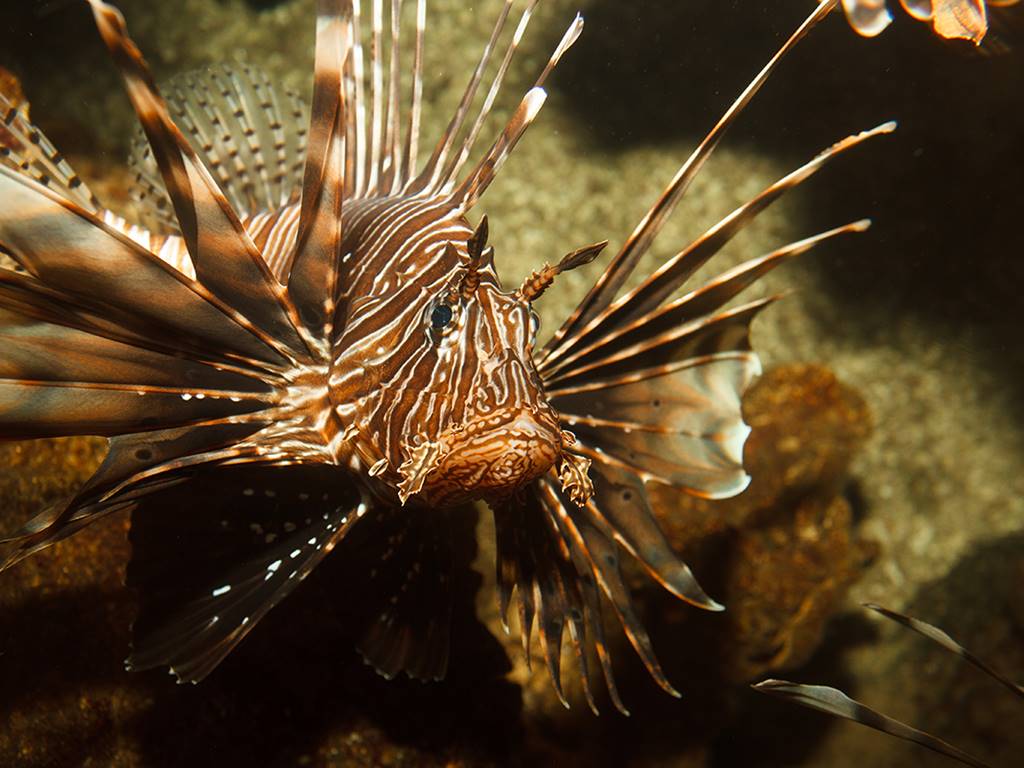 AQUARIUM DU LIMOUSIN A LIMOGES
