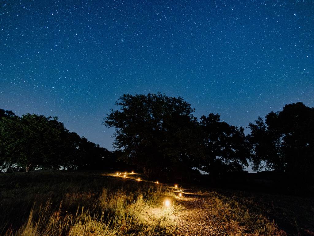 Nuit insolite_bulle_dôme_perché_occitanie_gers_Lartigue_weekend_étoiles_bain_nordique (31)