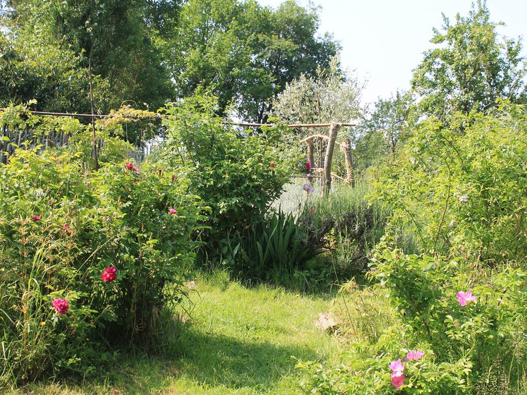 jardin-naturel-prairie-plantes-masserac-pédagogique-koantiz.jpg