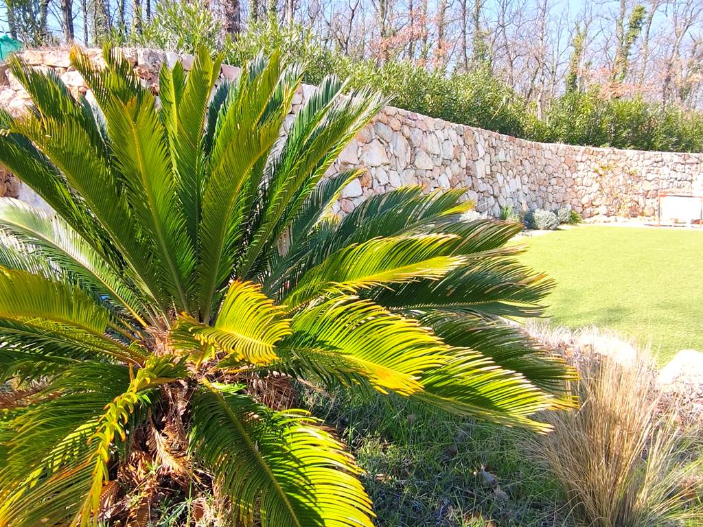villa-maluan-villa-luxe-proche-nice-provence